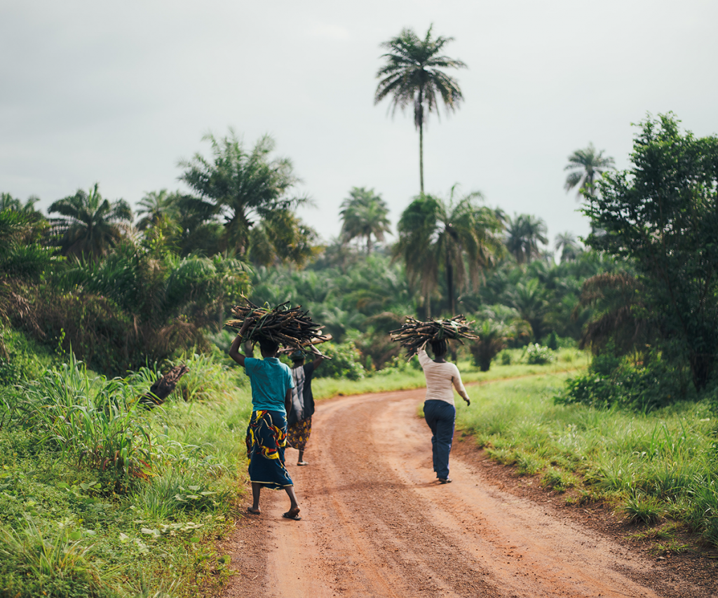 people walking on sand path