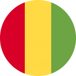 Guinée Conakry flag