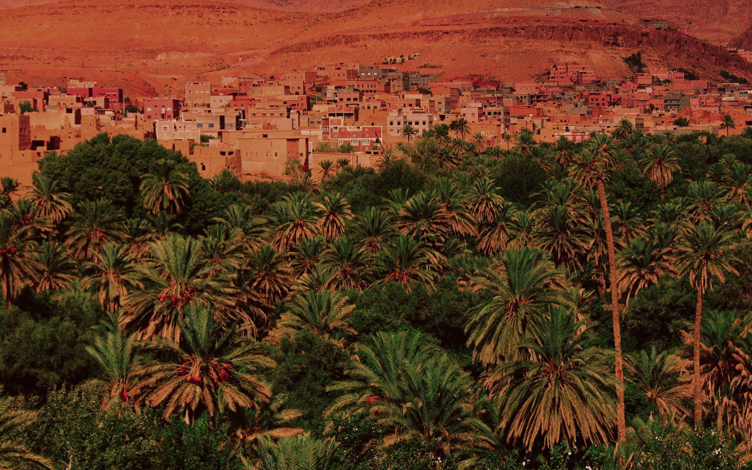 Morocco landscape