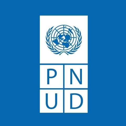 Logo PNUD