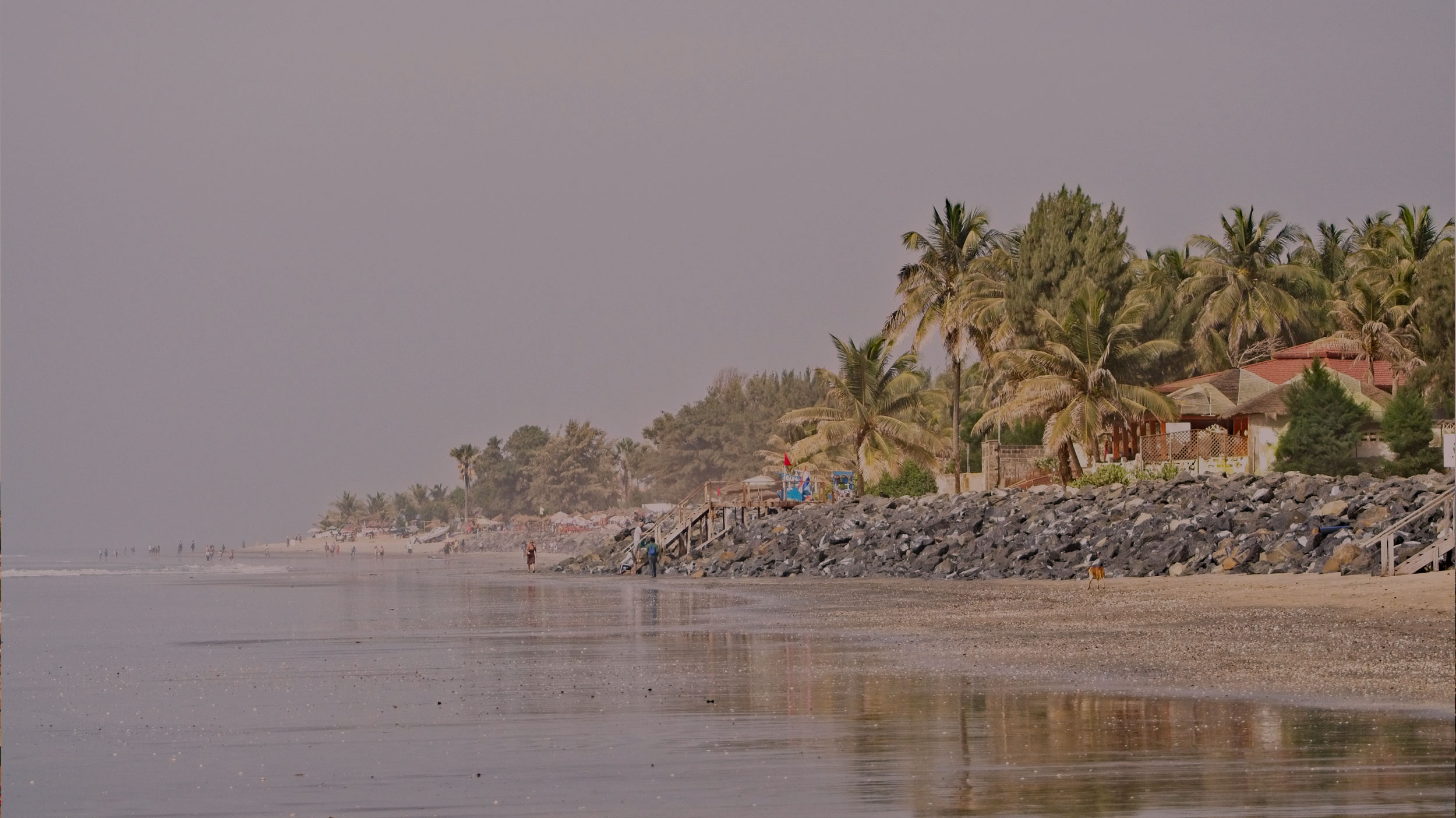 Gambia Landscape