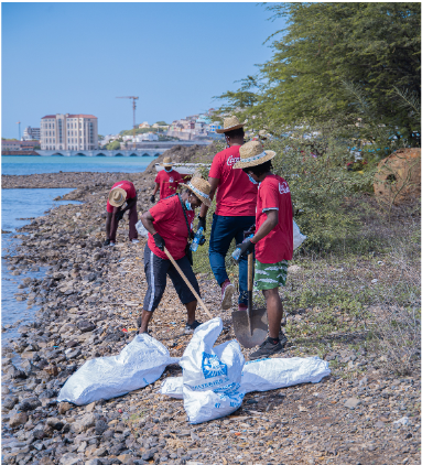 beach cleaning coca-cola project