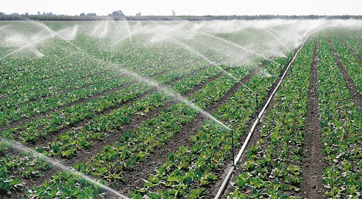 Irrigation