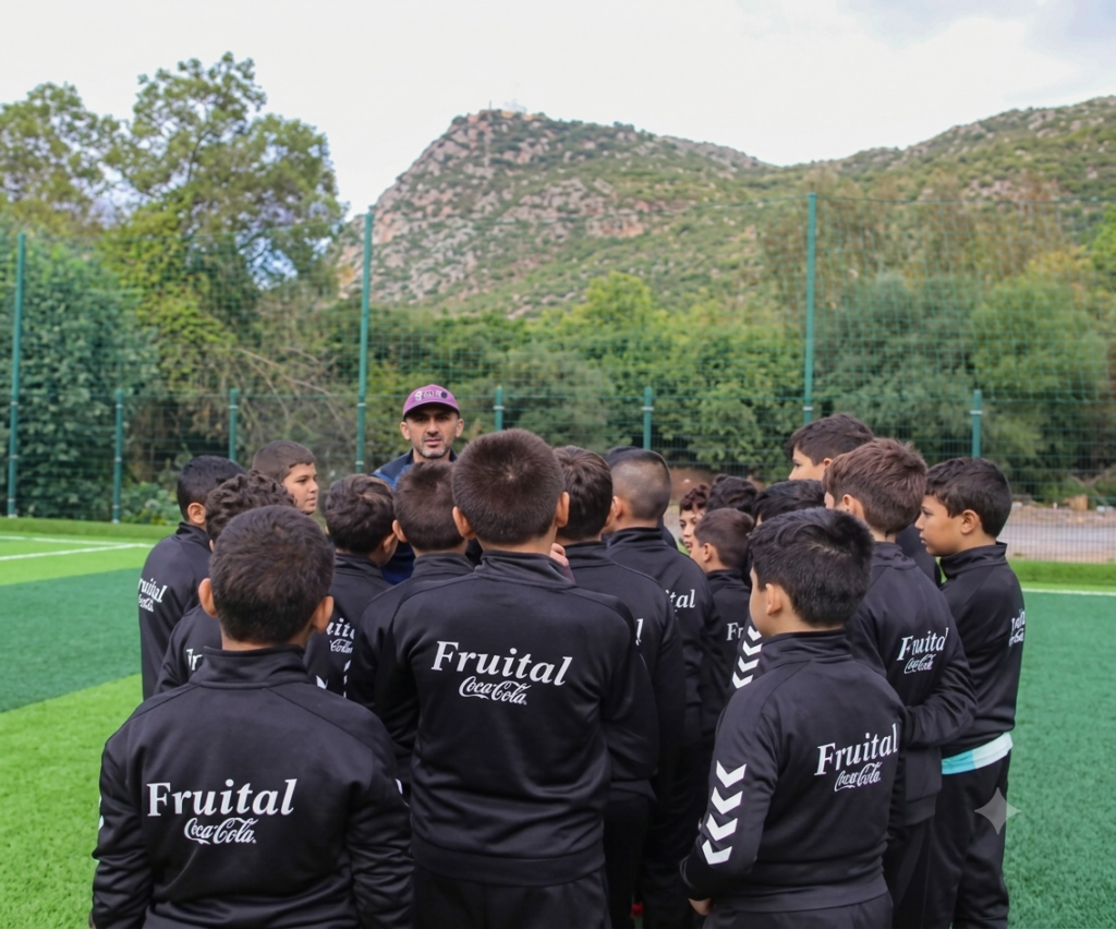 Fruital team